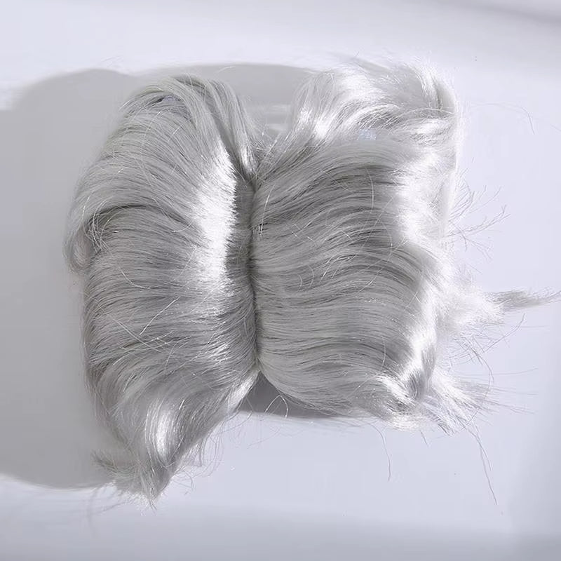 Auntie Style Funny Pet Wig
