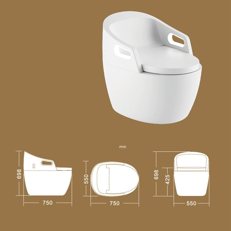 Fully Automatic Smart Floor-Mounted Toilet