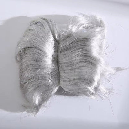 Auntie Style Funny Pet Wig