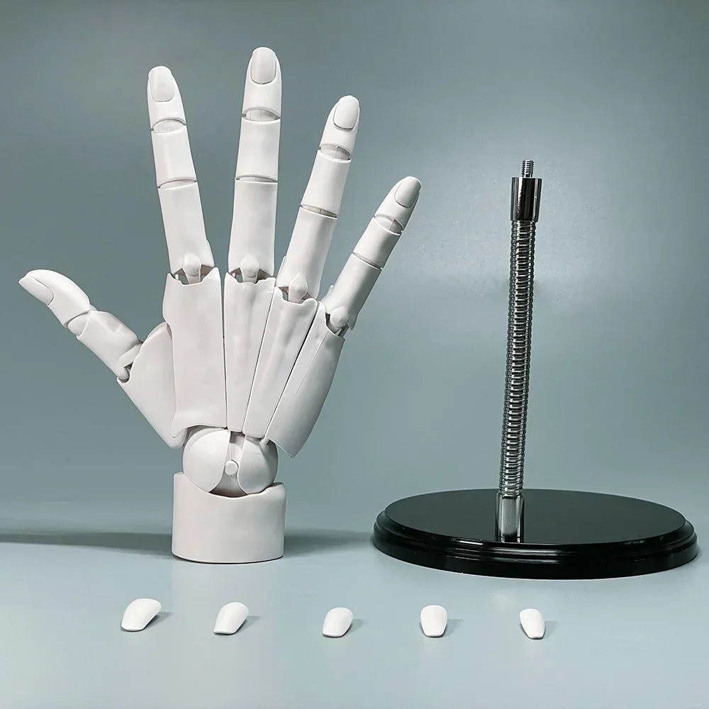 Multi-Pose Drawing Sculpting Art Hand Model