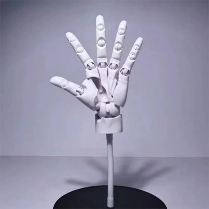 Multi-Pose Drawing Sculpting Art Hand Model