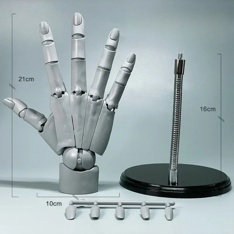 Multi-Pose Drawing Sculpting Art Hand Model