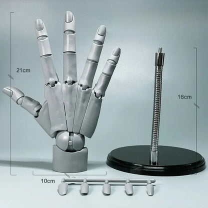 Multi-Pose Drawing Sculpting Art Hand Model
