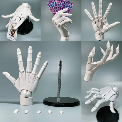 Multi-Pose Drawing Sculpting Art Hand Model