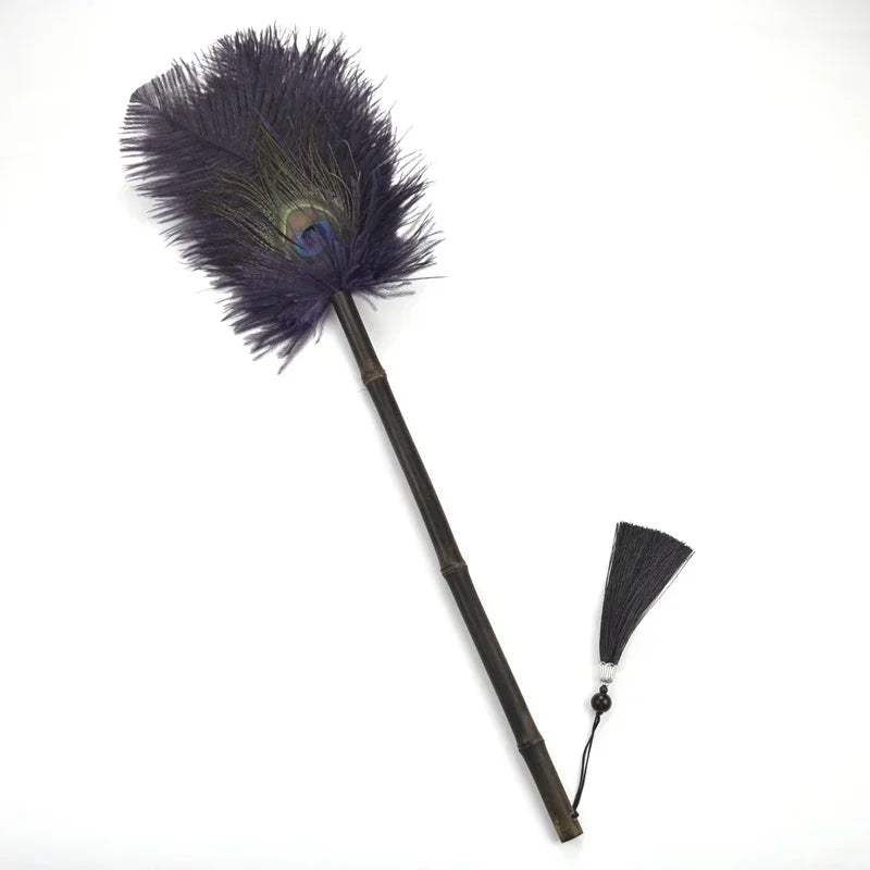 Peacock Feather Anti-Static Dusting Brush