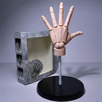 Multi-Pose Drawing Sculpting Art Hand Model