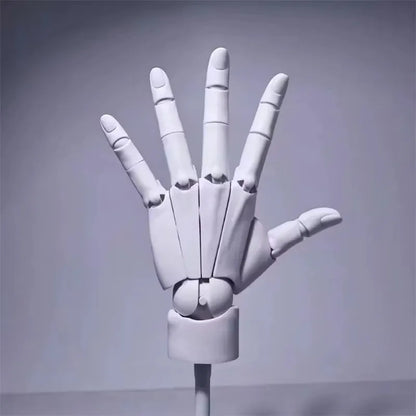 Multi-Pose Drawing Sculpting Art Hand Model